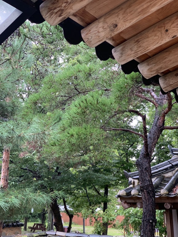 산죽칼국수 이미지
