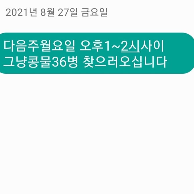 여수반찬 이미지