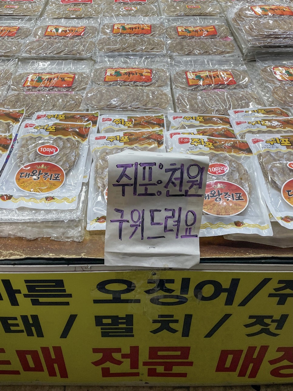 경포배오징어 이미지
