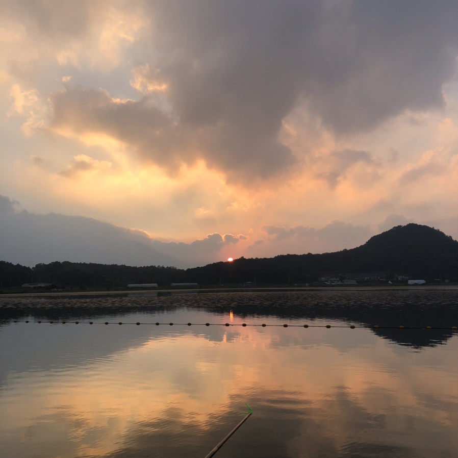 해와달낚시매점 이미지