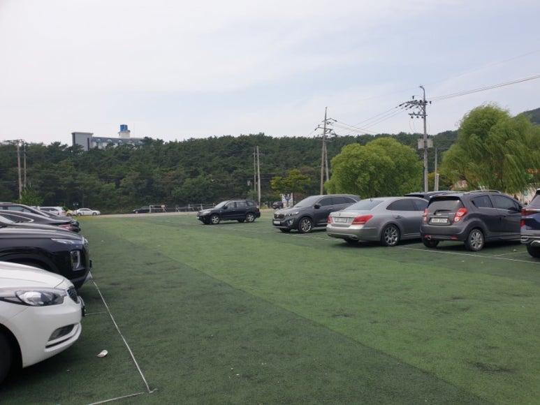 새싹바지락칼국수 이미지