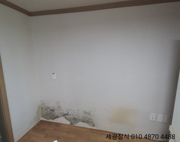 세광종합장식 이미지