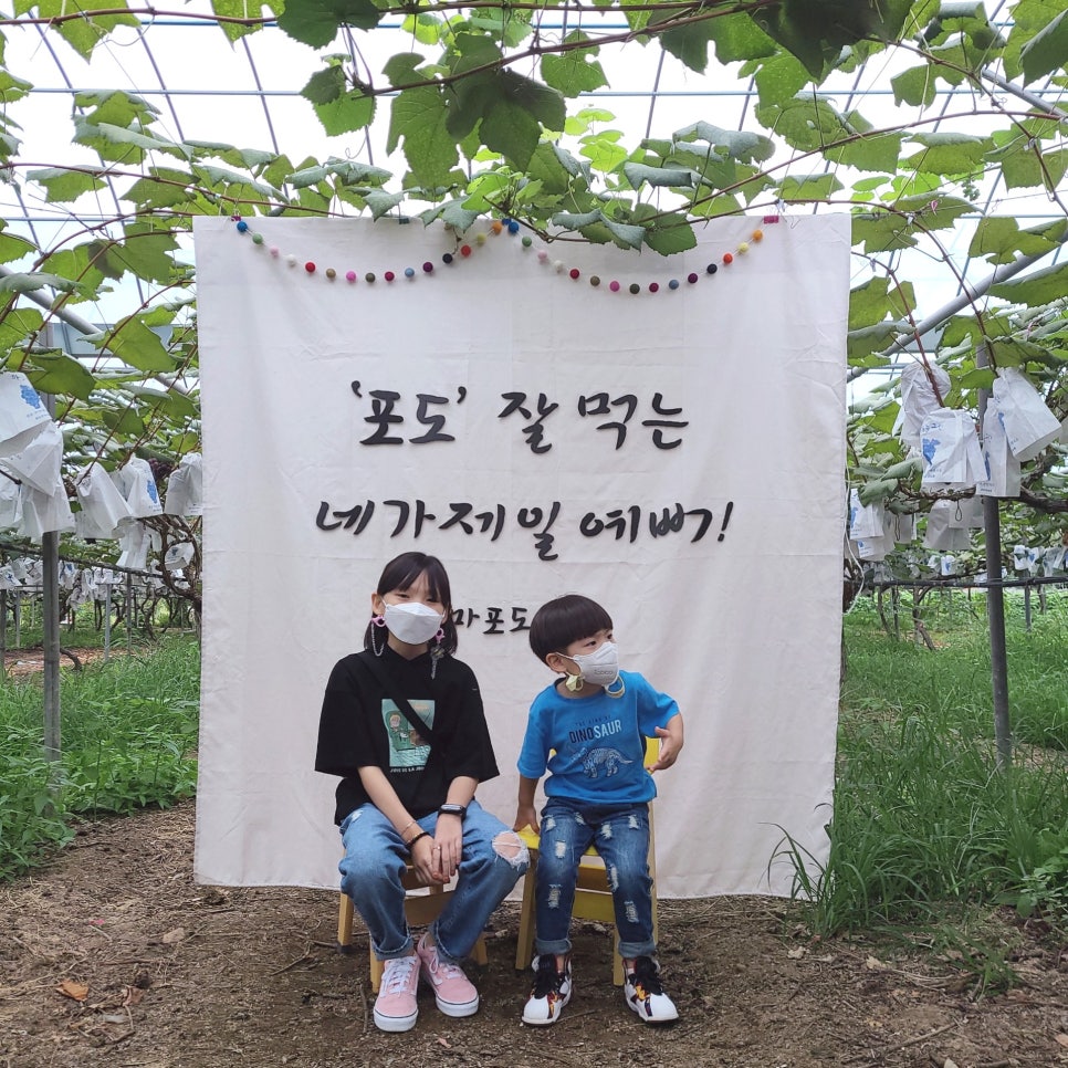 엄마사랑농원 이미지