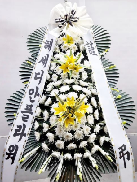 헤세디아 이미지