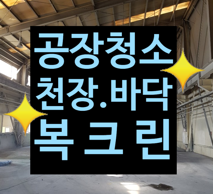 복크린 이미지
