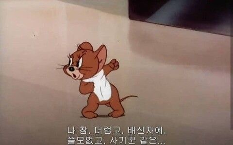 톰 이미지