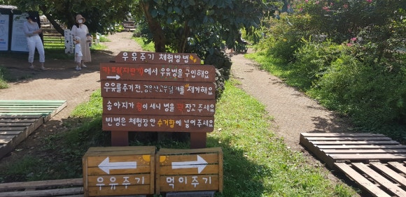 제주목장 이미지