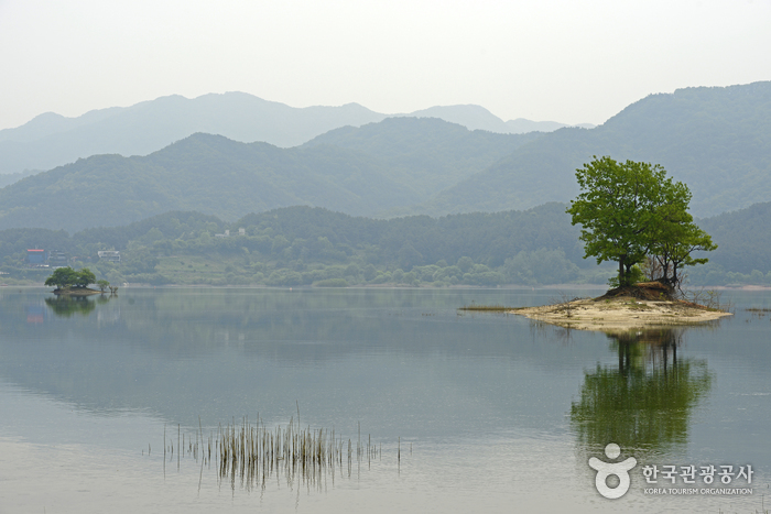 (주)월드디엔씨 이미지