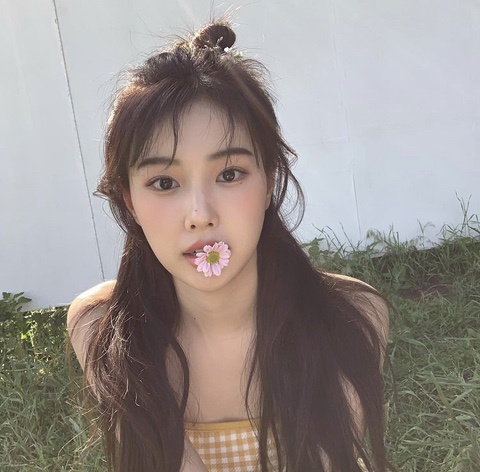 로제조이 이미지