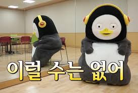 와이핏 이미지