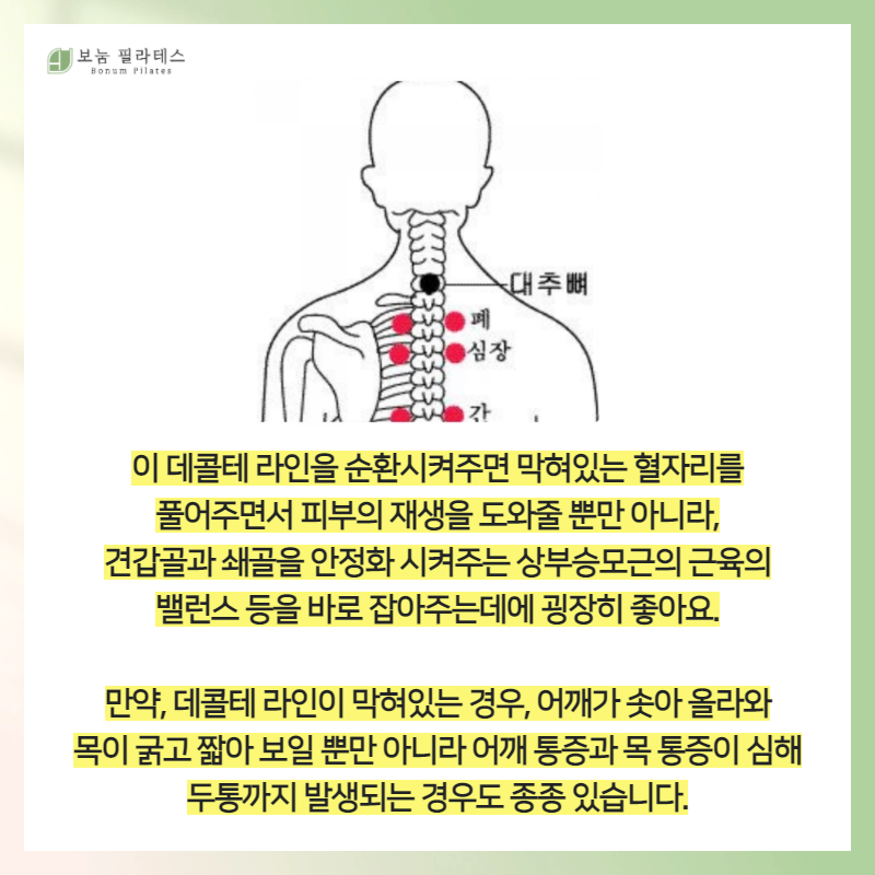 리벨로 스킨 앤 왁싱 이미지