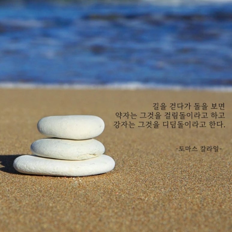 로이왁싱 이미지