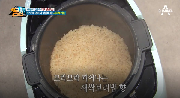 새싹보리밥 이미지