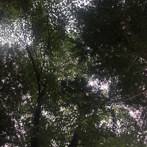 연종캠핑장 이미지