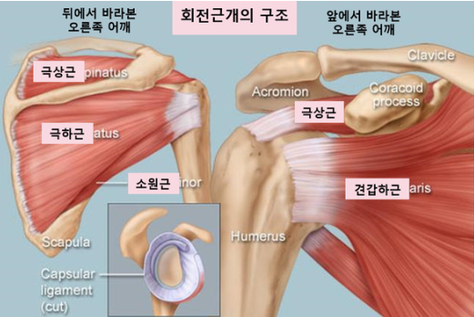 더우아 이미지
