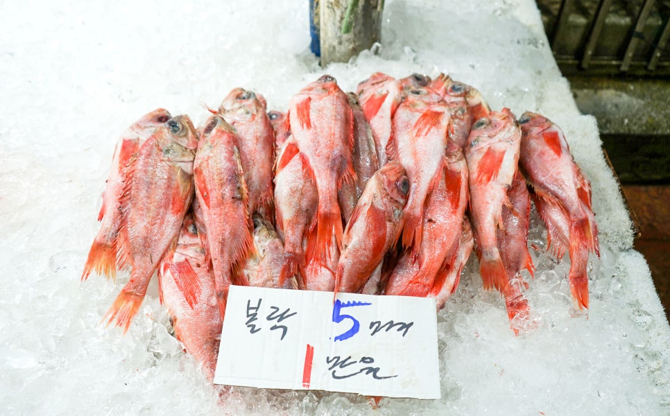 고현수산 이미지