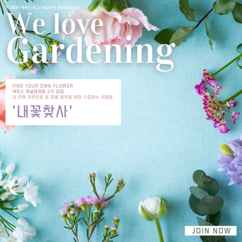 동아리테라피 이미지