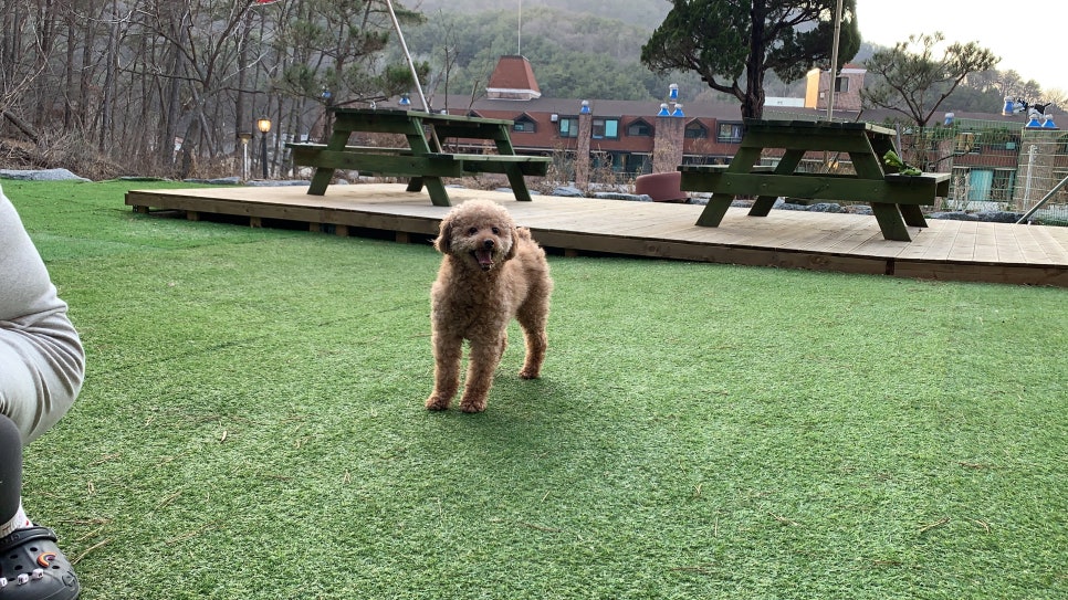 랑개 이미지