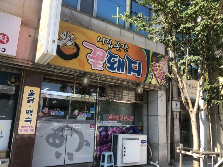 시집못간꽃돼지 이미지