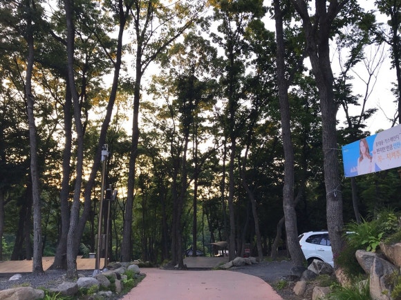비슬산 숲속 오토캠핑장 이미지