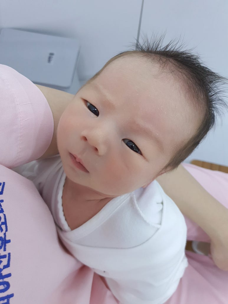 까치스튜디오 이미지