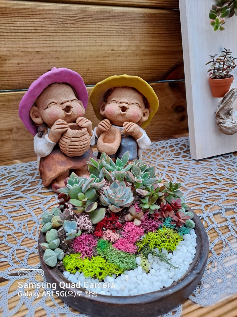 다육식물체험장 이미지