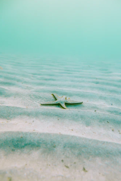 (주)국토환경연구원 이미지