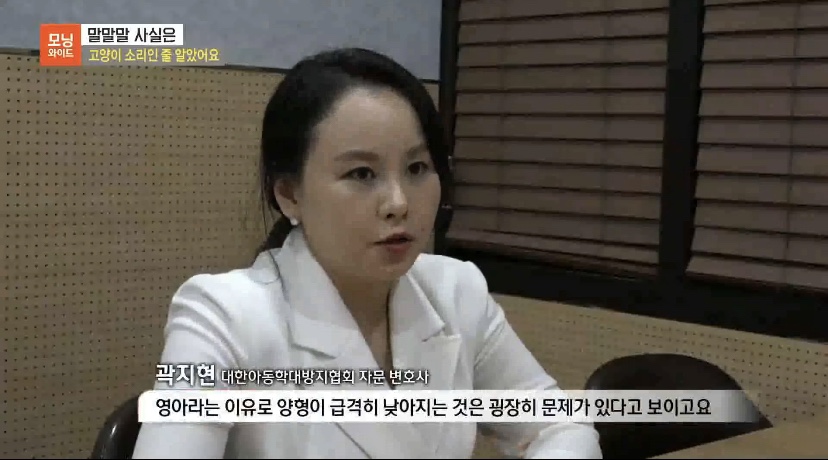 법률사무소생명 이미지