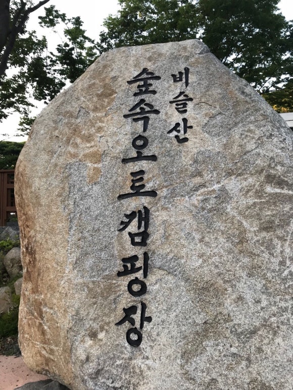 비슬산 숲속 오토캠핑장 이미지