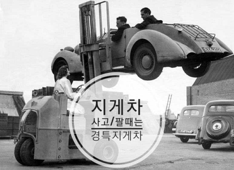 티시엠 이미지