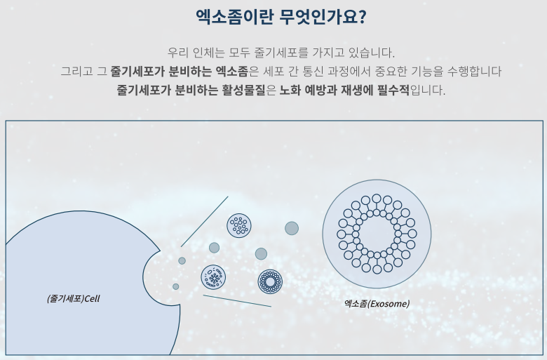 아티스성형외과 이미지