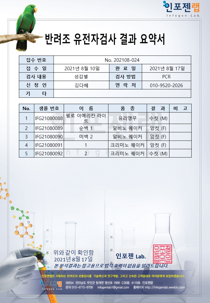 인포젠 이미지