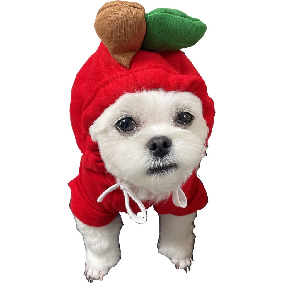 원샵헤어(1#헤어) 이미지