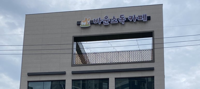 바운스독카페 이미지