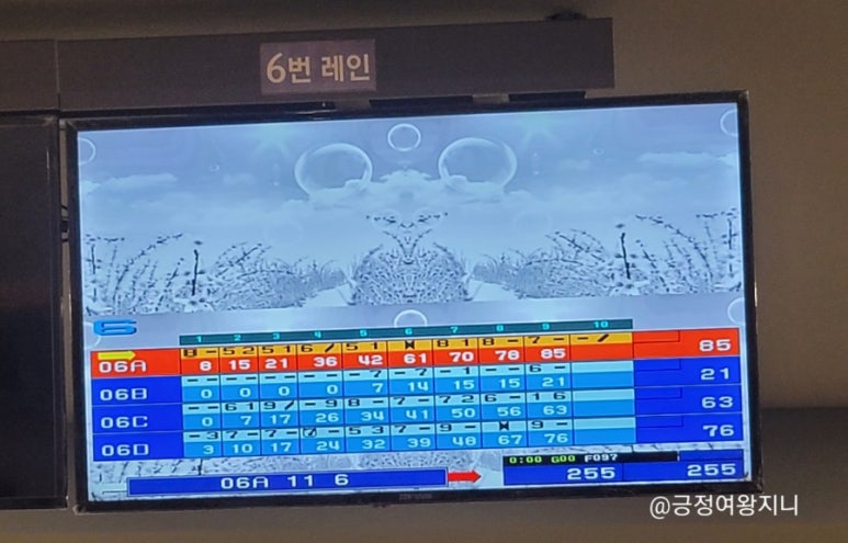 오크밸리볼링장 이미지