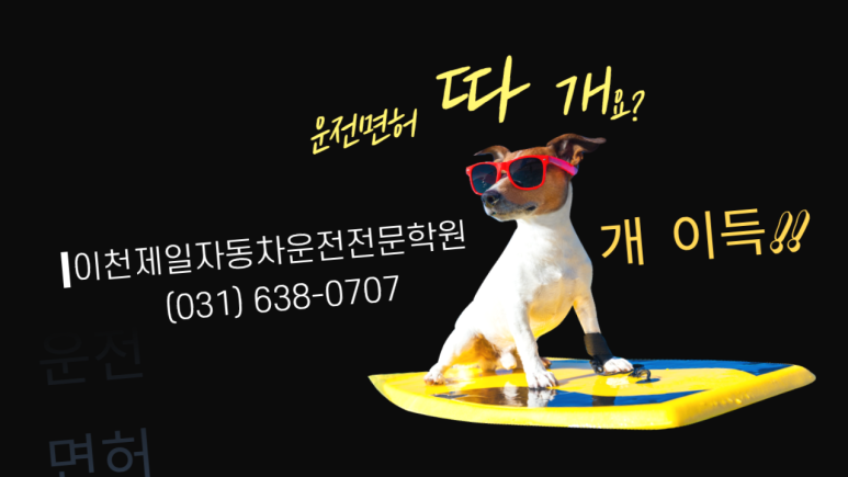 문막자동차운전전문학원 이미지