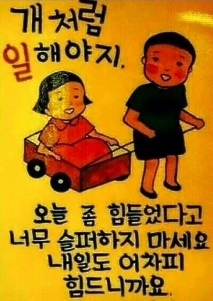 도안왕족발 이미지