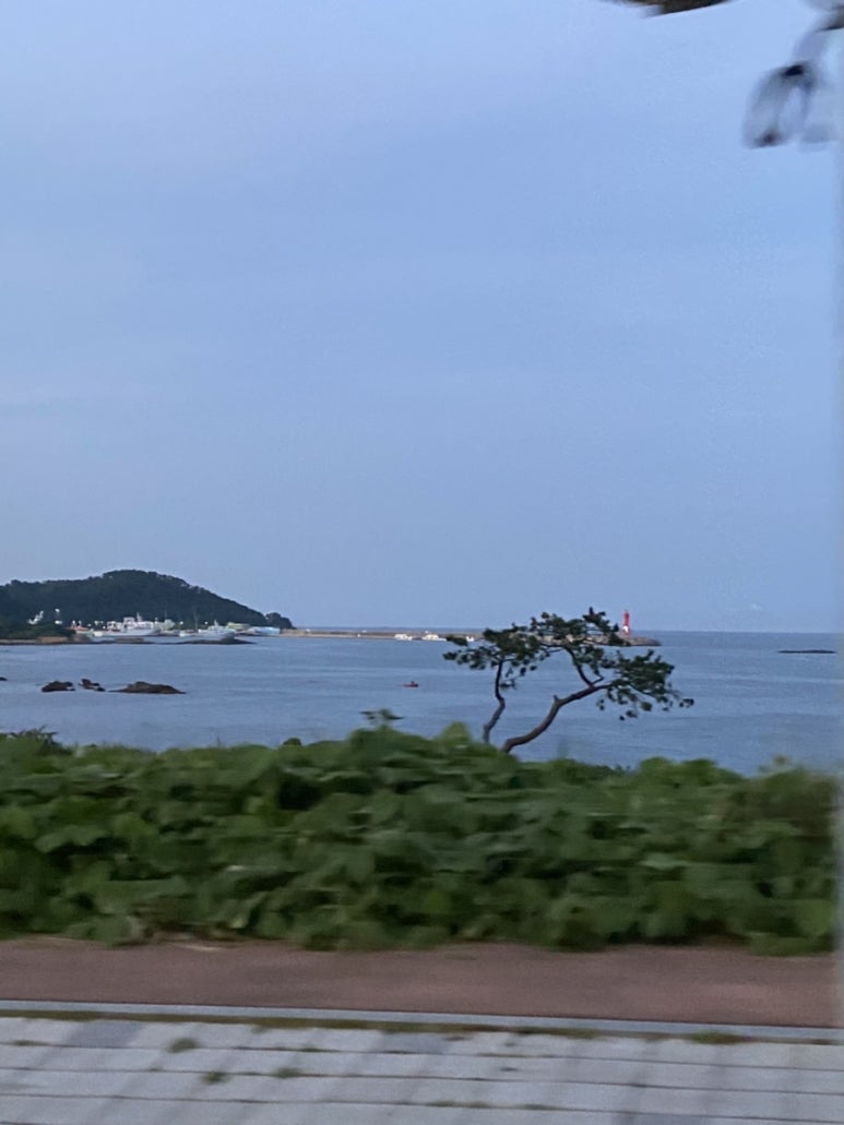 미주수산 이미지