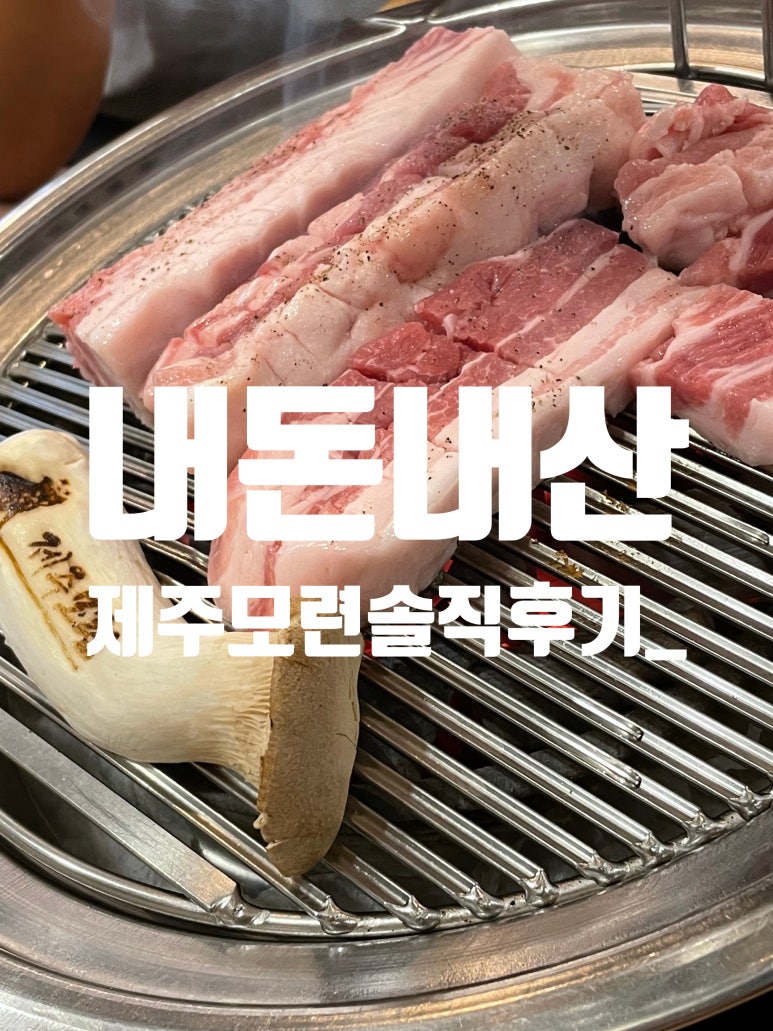제주모련 이미지
