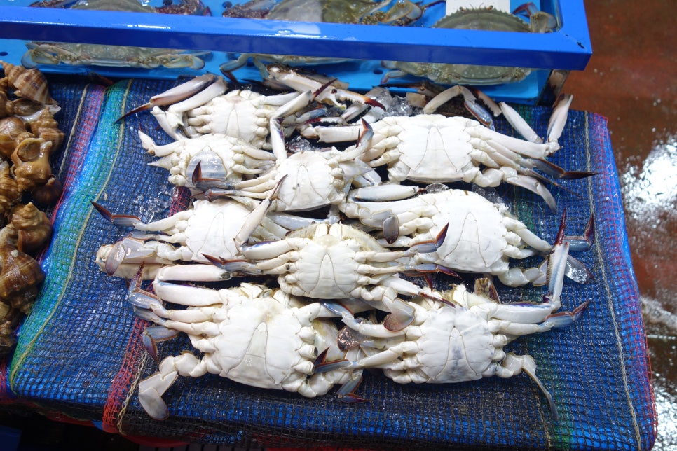 상진물산 이미지
