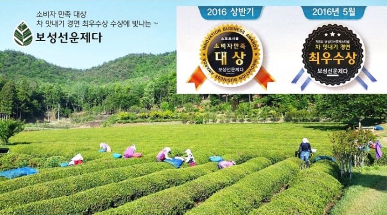 보성선운제다 이미지