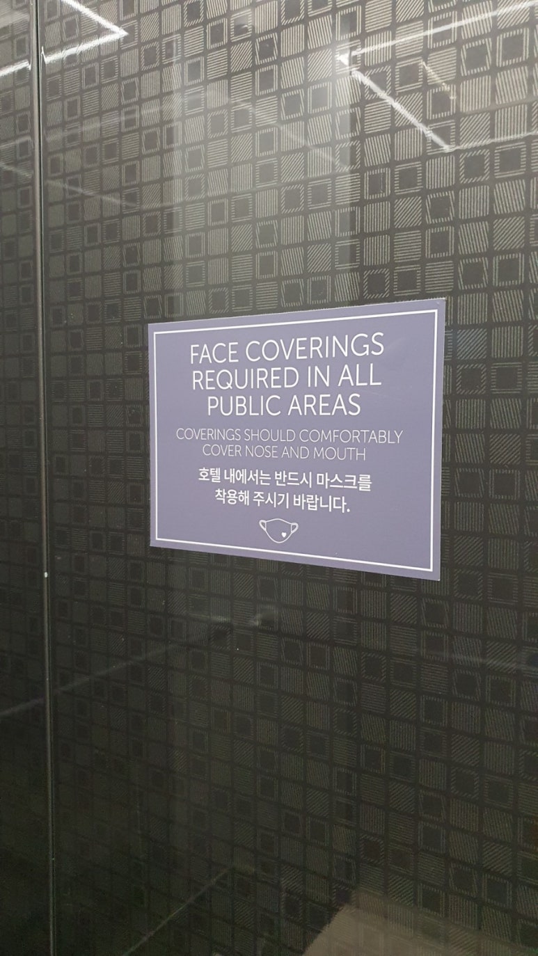 솜반 이미지