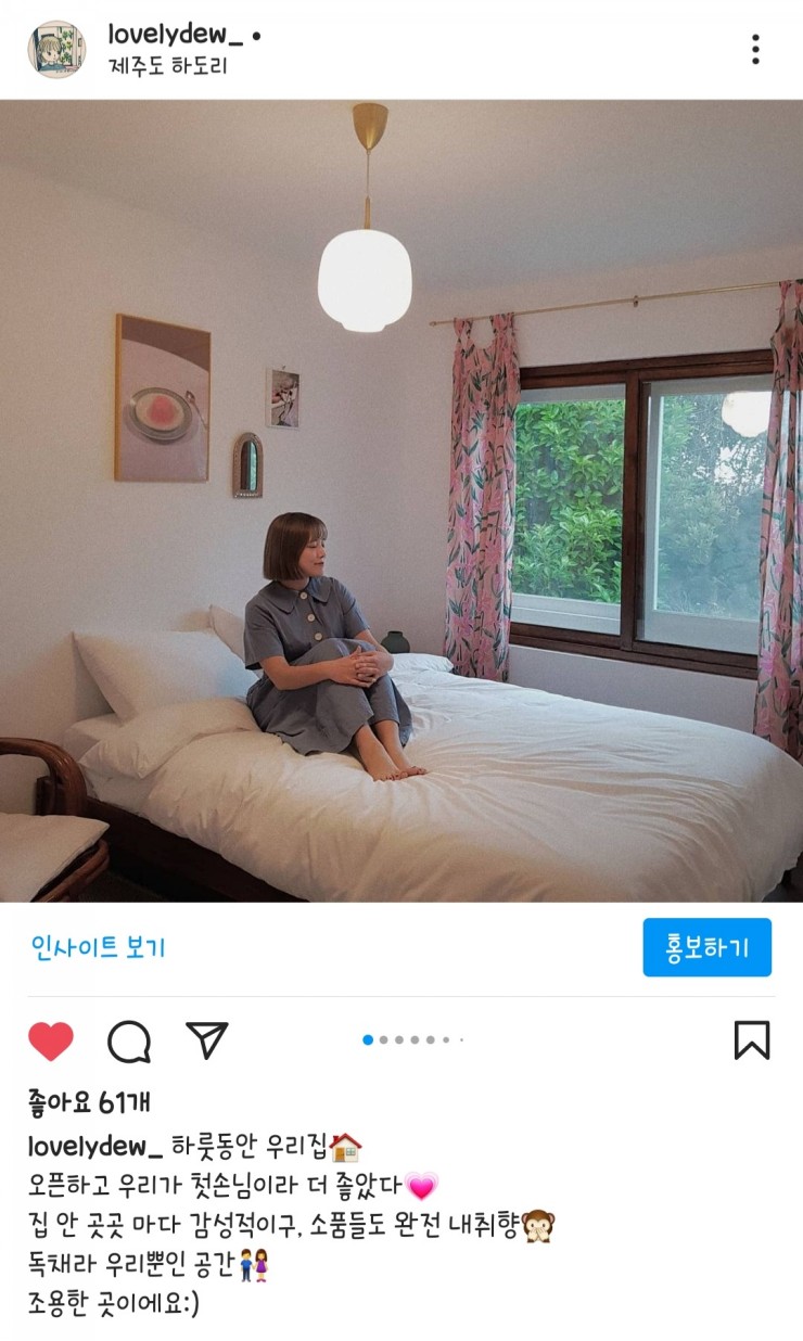 올더버드 이미지