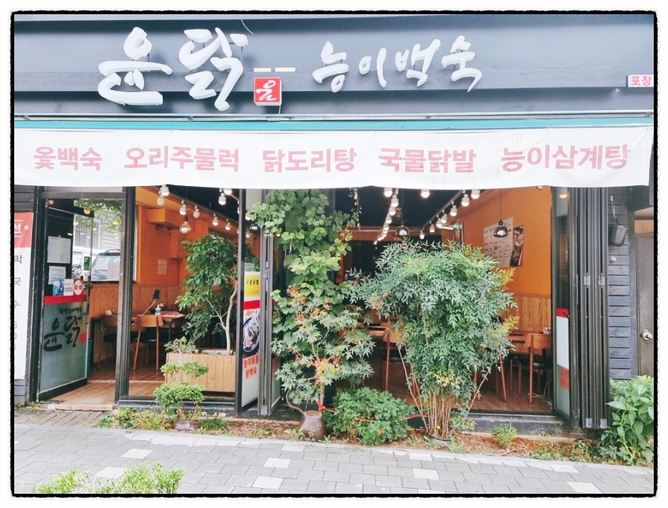 윤닭능이백숙 이미지