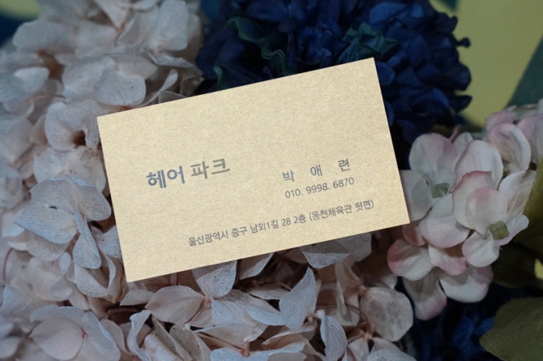 헤어파크 이미지