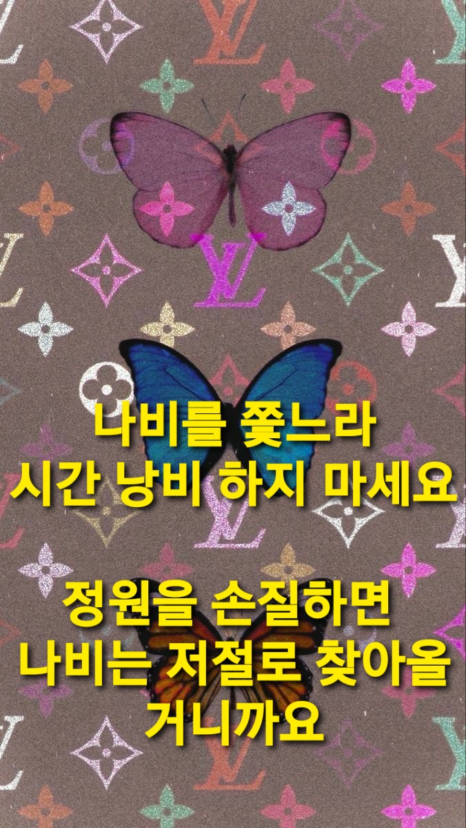 소망 인셀덤 이미지