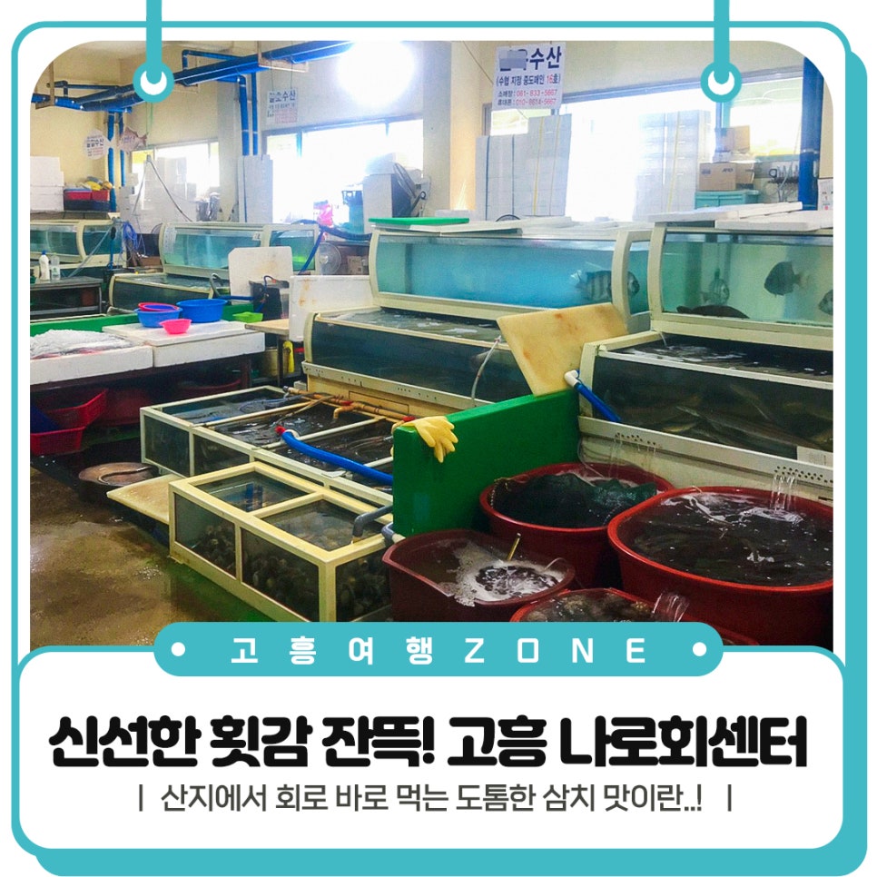 나로도삼치수산 이미지