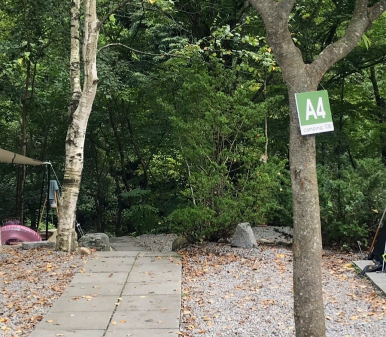 흥정계곡 캠핑700 이미지