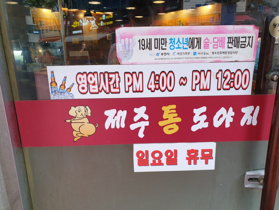 제주통도야지 이미지