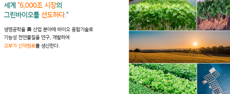 (주)나투어바이오제약 이미지